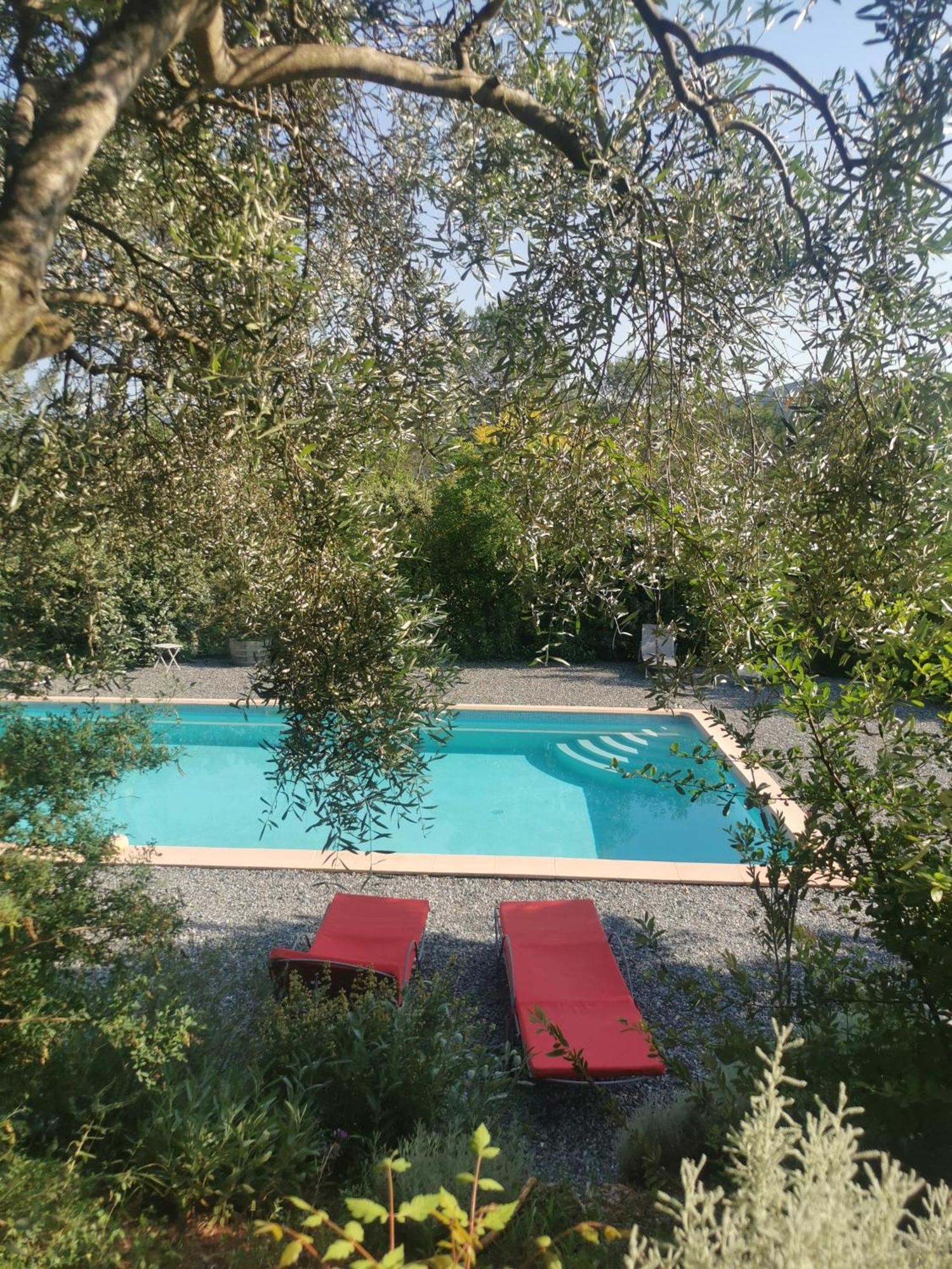 Bed and Breakfast Bastide Saint Bernard Le Thoronet Esterno foto