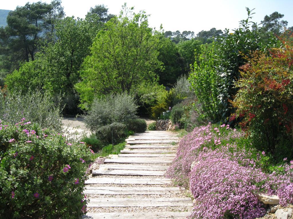 Bed and Breakfast Bastide Saint Bernard Le Thoronet Esterno foto